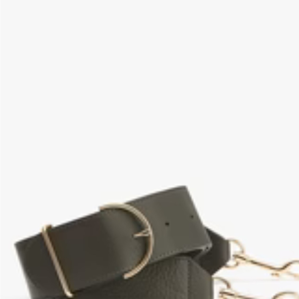 Cuyana italian leather system zipper tote 16” in olive green - Picture 2 of 12